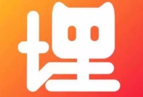 埋堆堆账号怎么设置密码登录 埋堆堆账号设置密码登录的方法