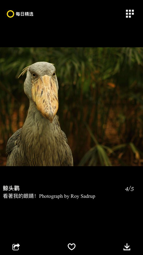 每日精选下载安装