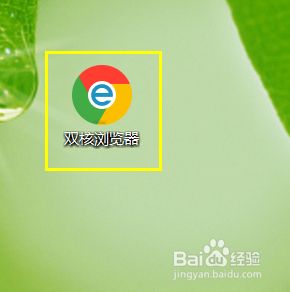 Chrome双核浏览器怎样使用一键装机功能