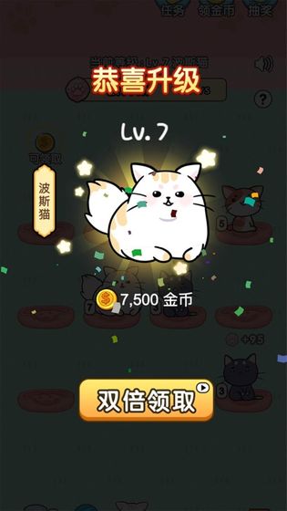 我的小猫