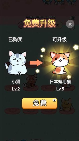 我的小猫