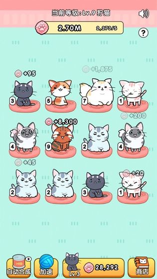 我的小猫