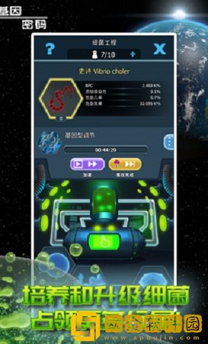 基因密码游戏
