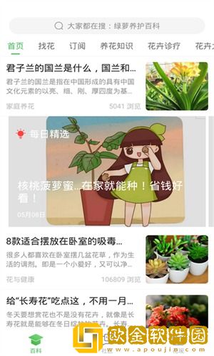 菠菜