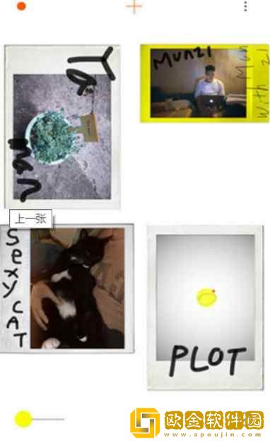 PLOT相机