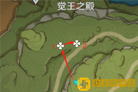 原神帕蒂莎兰分布在哪 原神帕蒂莎兰分布位置一览