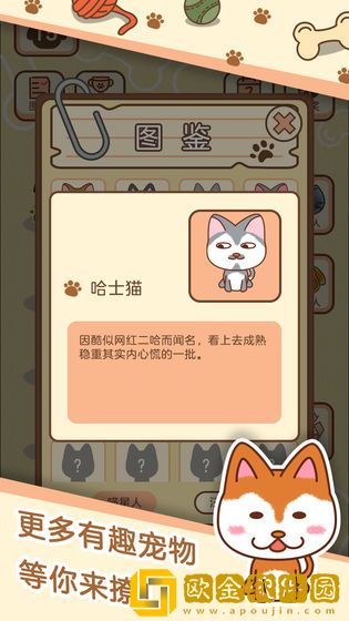 宠物星球