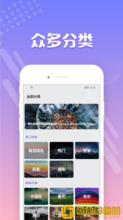禾琴壁纸