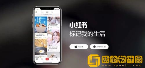 小红书设置默认字体的方法是什么 小红书设置默认字体方法