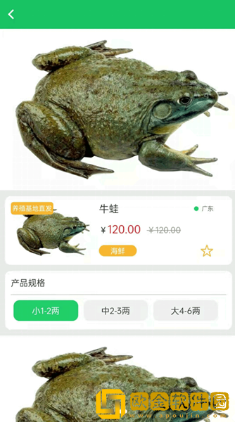 晓能批发