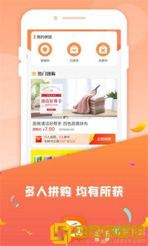织叶蚁