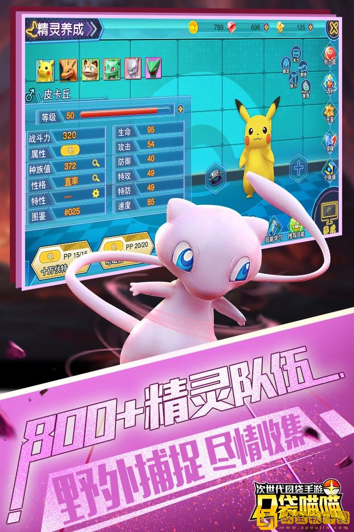 口袋喵喵