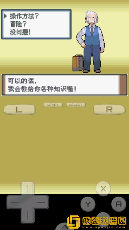 宝可梦白金光随机版