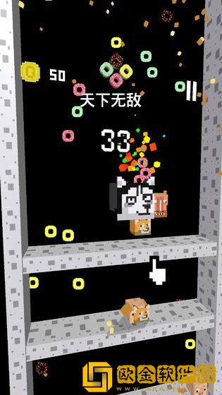 二哈下楼记