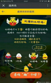 开心趣养鸡