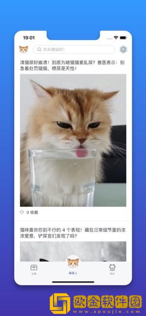 行走的喵星人
