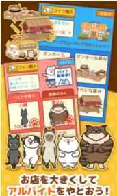 全民猫屋