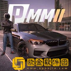 多人停车大师2
