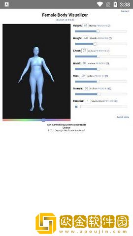 body