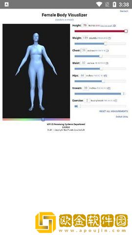 body