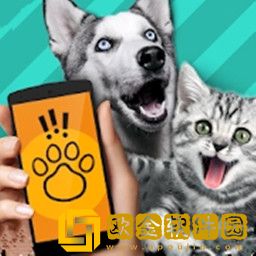 动物翻译器免费