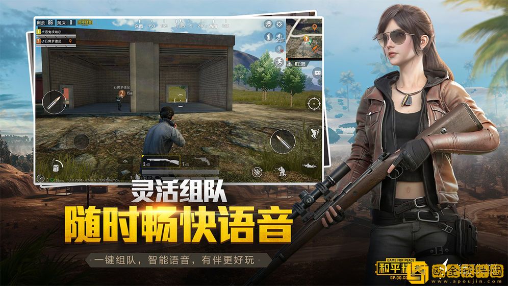 和平精英手游版