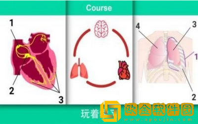 现实医疗模拟器安卓版