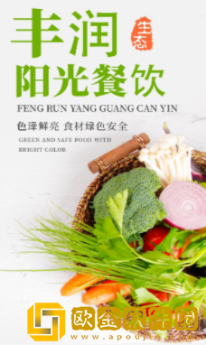 丰润阳光餐饮app