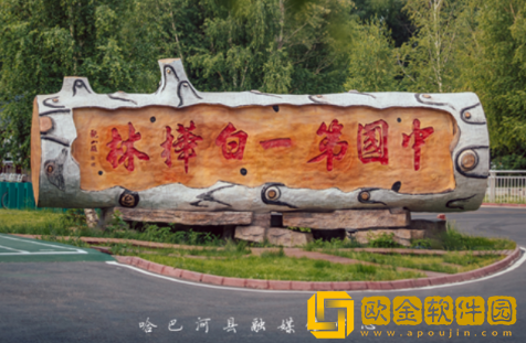 哈巴河好地方APP