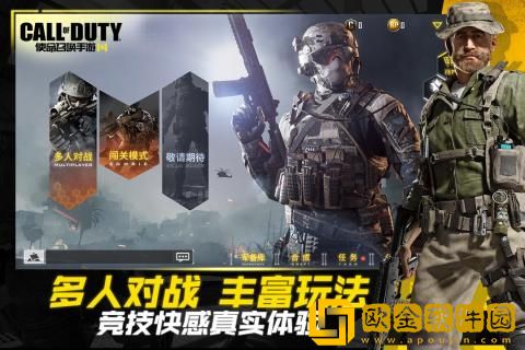 使命召唤120帧画质助手