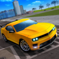 特技汽车驾驶模拟(Car Driving Simulator)