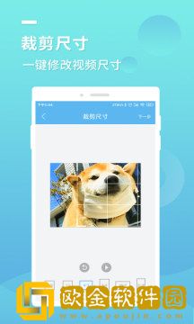 蓝莓去水印安卓版
