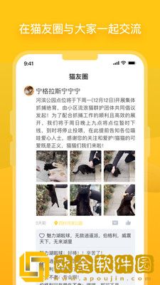 哈啰街猫手机版