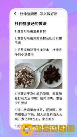 有机菜食谱正式版