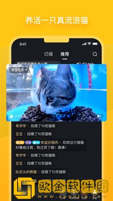 哈啰街猫手机版