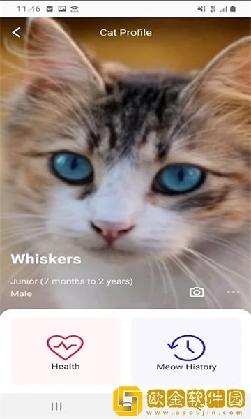 喵说meowtalk中文