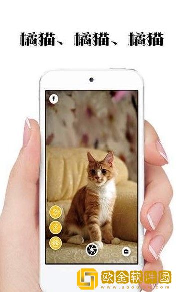 极简猫咪相机最新版