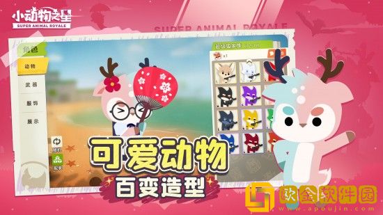 小动物之星