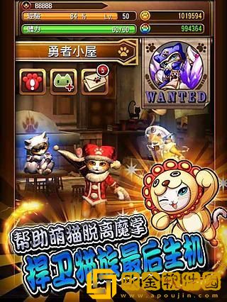 萌猫大作战