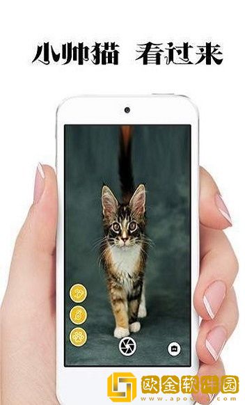 极简猫咪相机最新版