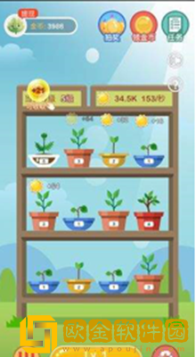 阳光养金屋