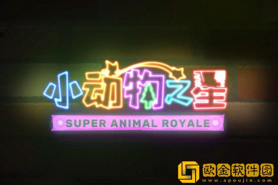 小动物之星