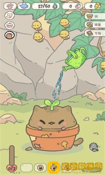 我的猫锅