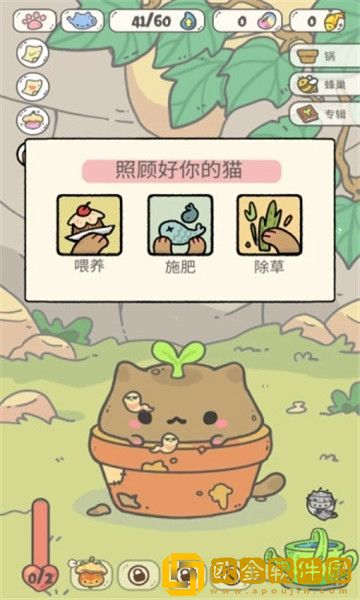 我的猫锅