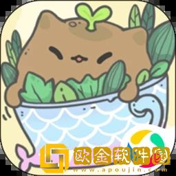我的猫锅
