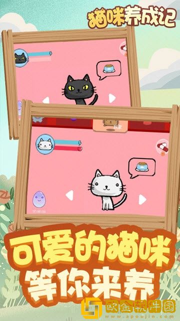 猫咪成长记