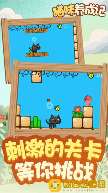 猫咪成长记
