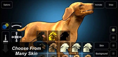 模拟忠犬