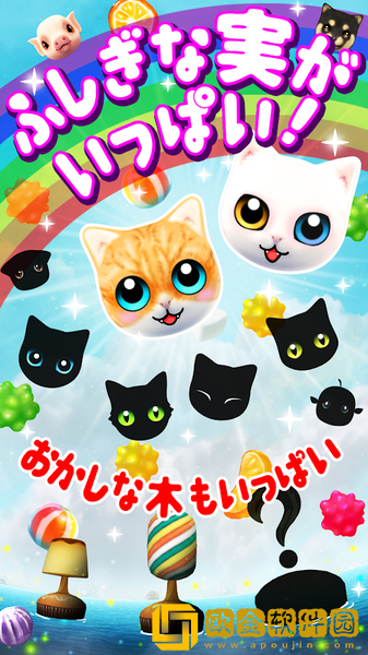 化为树的猫