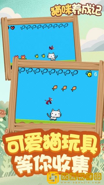 猫咪成长记
